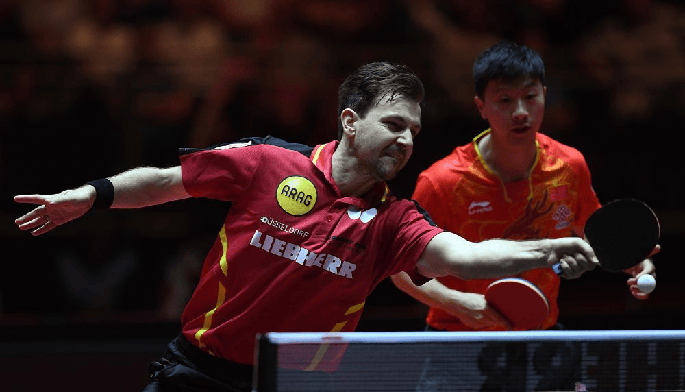 包含法国乒乓球队碾压比利时乒乓球队，波尔惊艳世界的词条