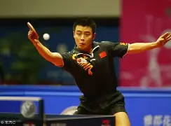 韩国乒乓球队绝地反击比利时乒乓球队，王皓关键制胜的简单介绍