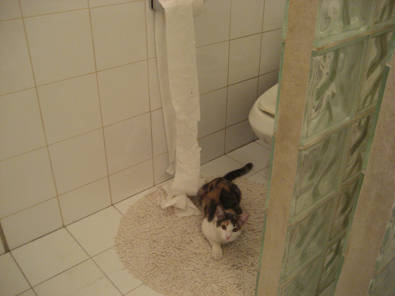 开云体育-冰锋逆转与熔岩纪录，当张继科的火焰点燃阿尔卑斯雪原