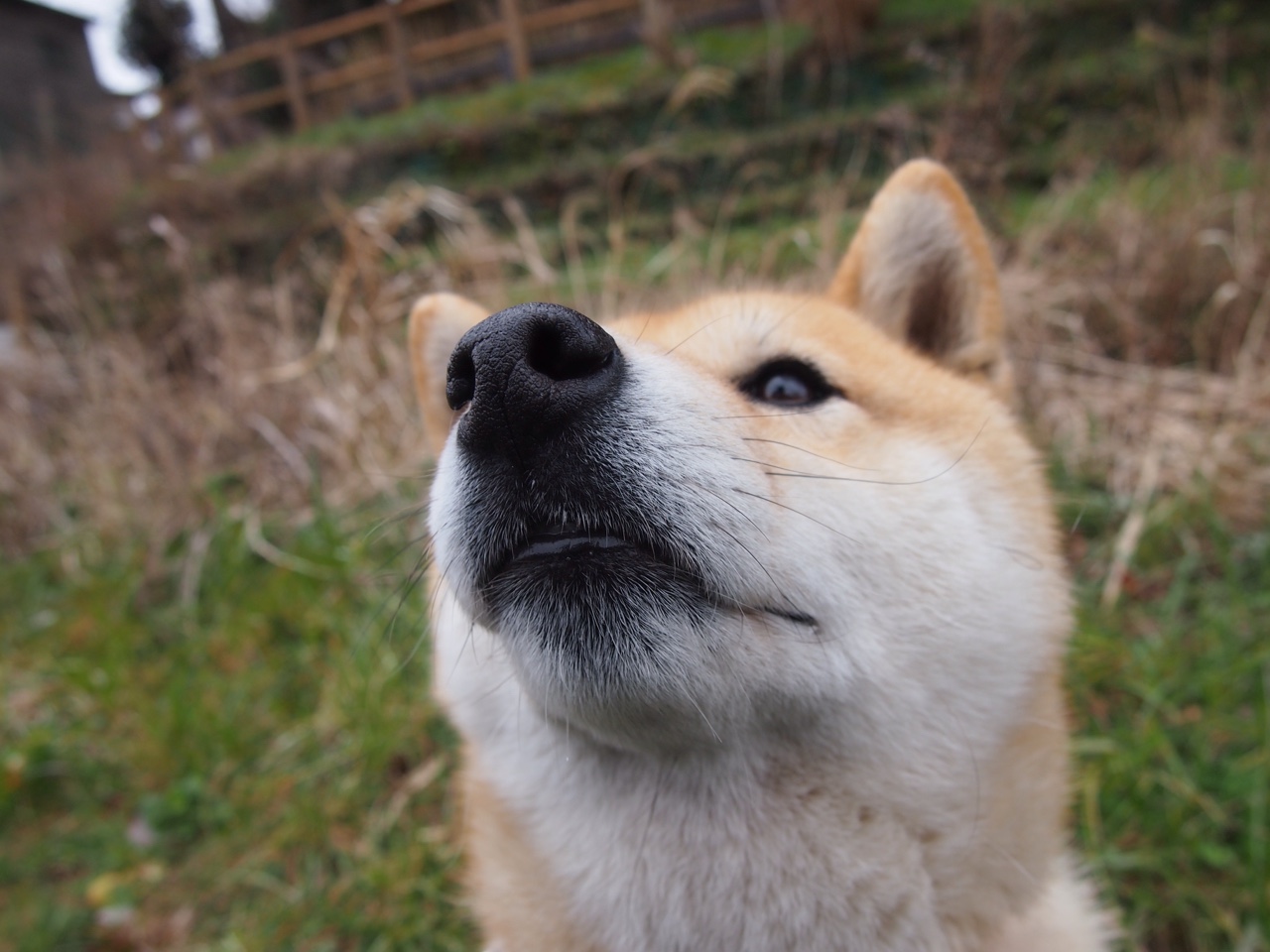 开云体育中国-温网捍卫历史殿堂，当兹维列夫的选择力克拉沃尔杯的召唤