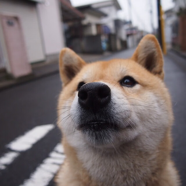开云体育入口-足球双城记，基米希状态火热引领拜仁，拉齐奥从乌拉圭带走新星