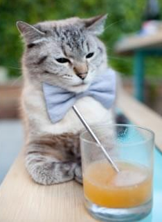 独舞纽约,撕裂青空,当布伦森的单挑艺术遇上雷霆的青春风暴