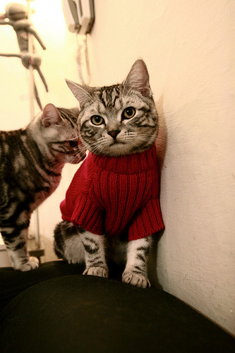 开云体育在线-当斯坦福桥的月光照亮澳洲荒漠，京多安与切尔西的跨洲奇袭