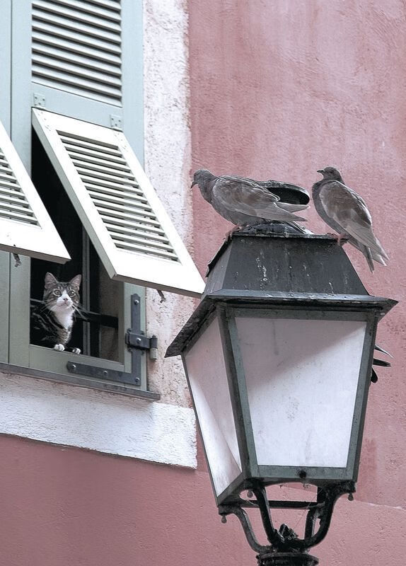 马刺的团队,利拉德的个人,篮球胜利的两种唯一性