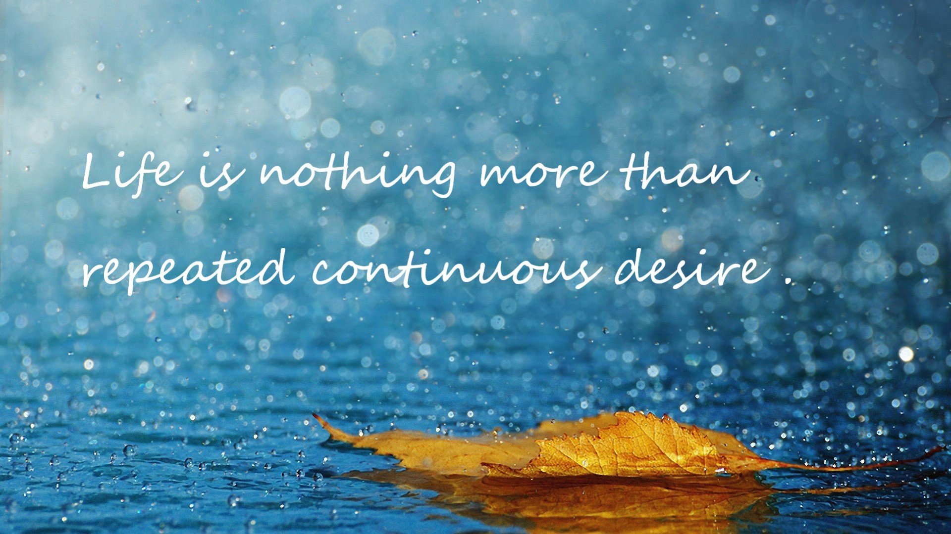 开云体育官网-红铜与巧克力的战役，智利如何在世界排名争夺战中粉碎比利时