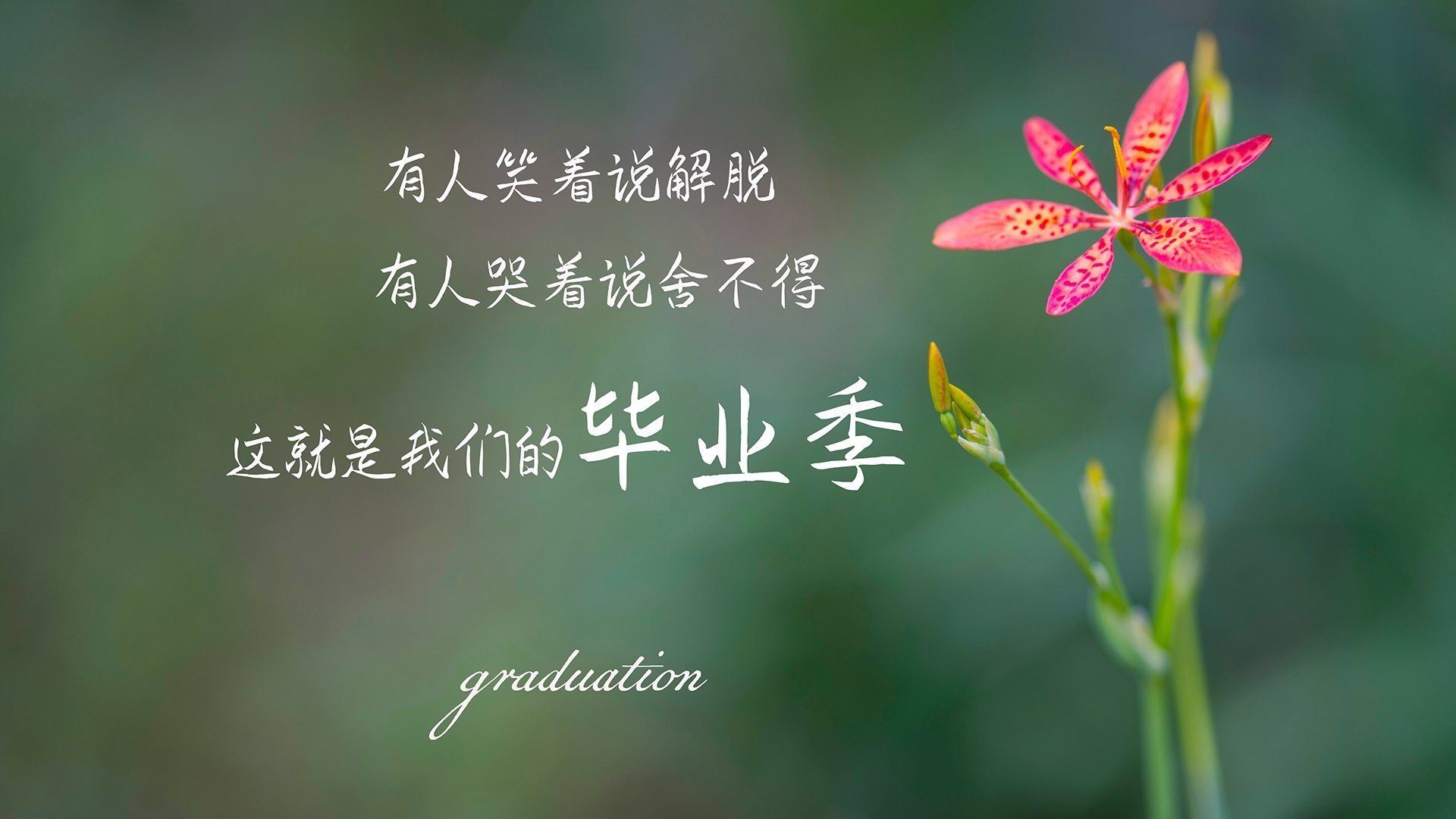 凯恩之夜，当篮球成为烈焰，撕碎钢铁防线