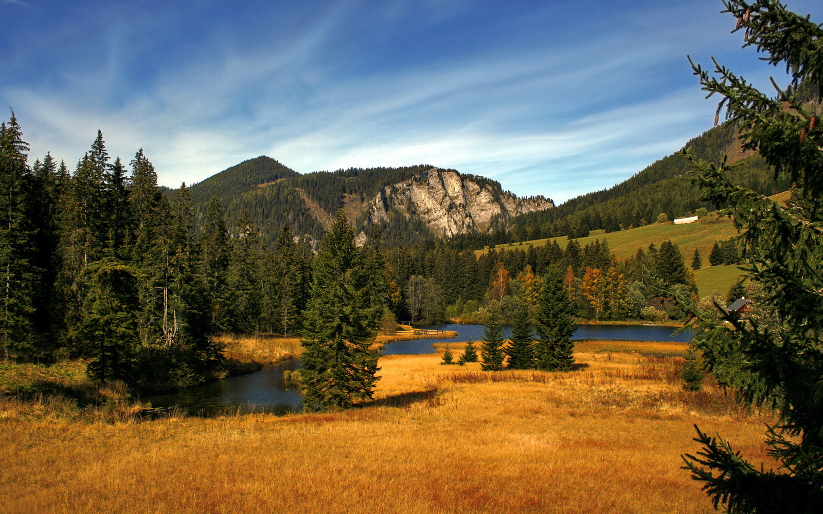 双城记，绿茵的寂静与硬木的惊雷