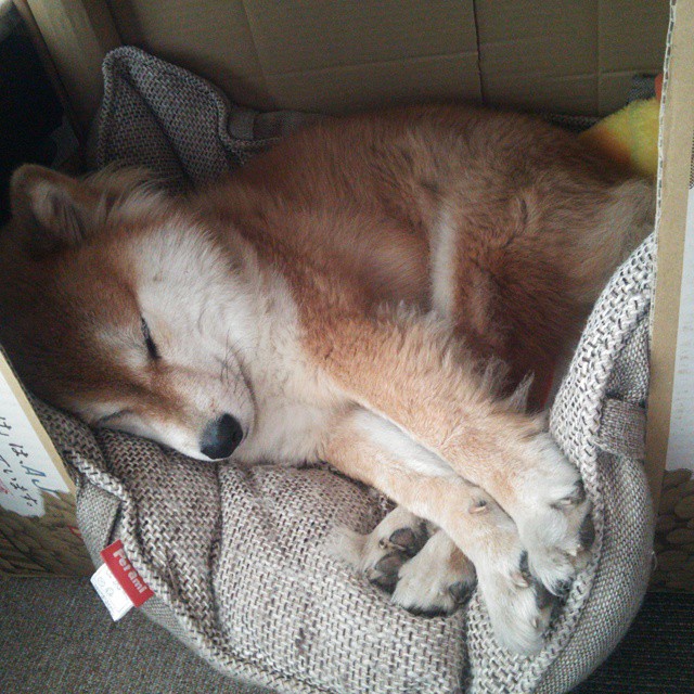 开云体育登录-阿喀琉斯之矛，当利拉德用三分雨刺穿华盛顿的暮色