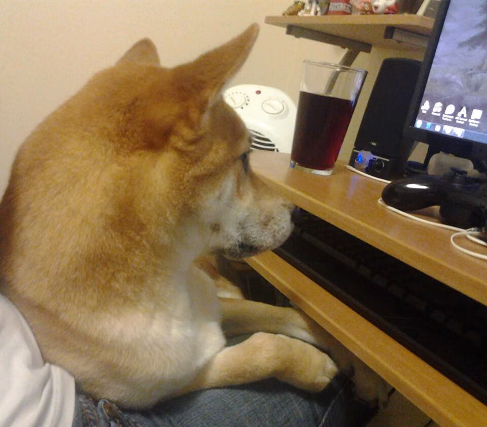 宿敌重逢，开拓者双枪射落公牛，时隔28年再突破