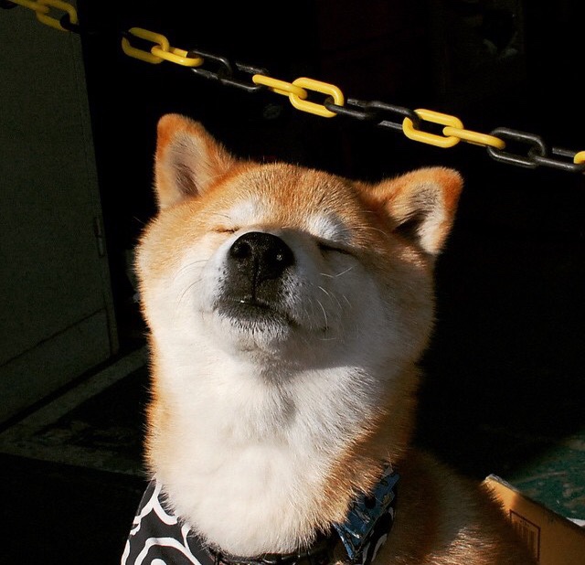 开云体育APP下载-今夜欧洲双子星，雷恩末节使命必达，德里赫特铸成叹息之墙